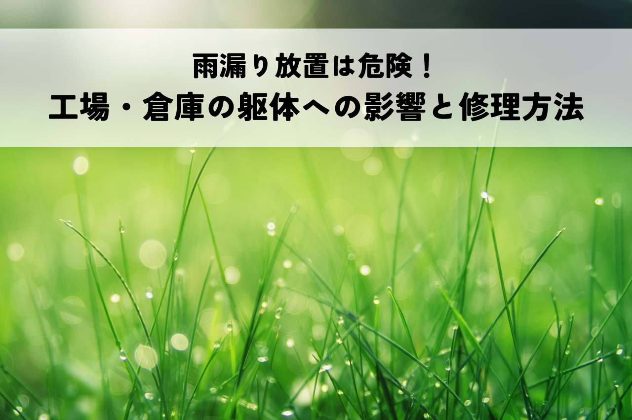 雨漏り放置は危険！工場・倉庫の躯体への影響と修理方法を解説